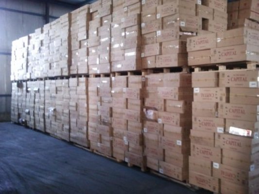 Transport cu milioane de ţigări de contrabandă confiscat în portul Sud Agigea